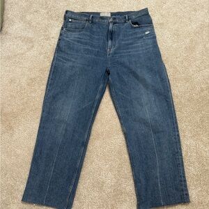 The Way High Jean - Everlane - Distressed